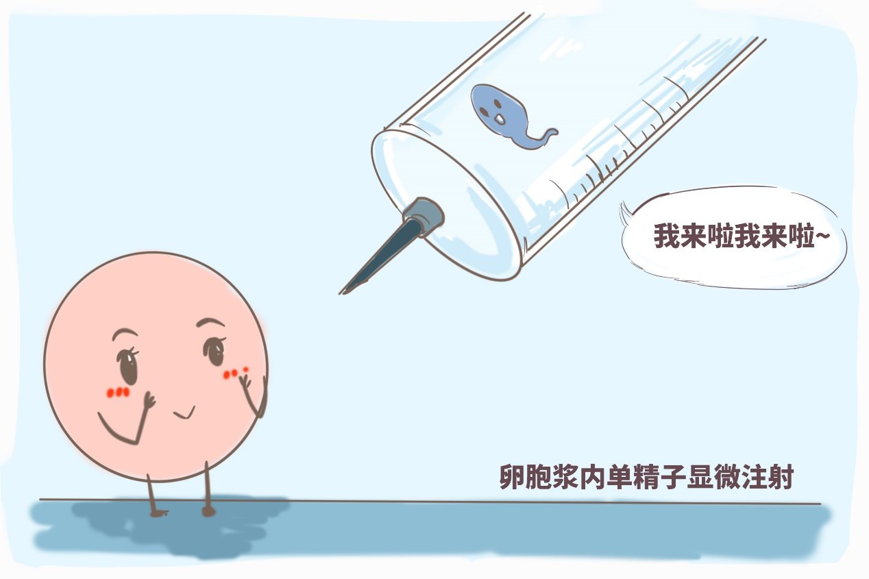 37周胎位不正的原因及纠正方法图片大全 37周胎位不正的原因及纠正方法图片